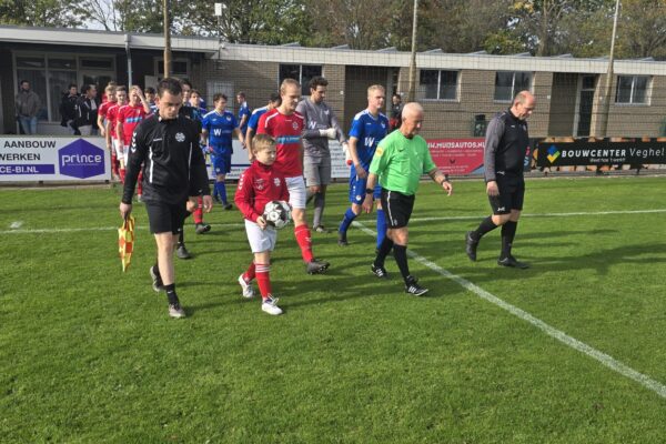 pupil vd Week: Roan pupil vd Week: Roan