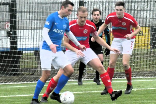 P1150447 1 P1150447 1