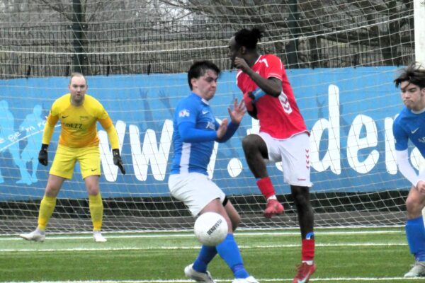 P1150459 1 P1150459 1