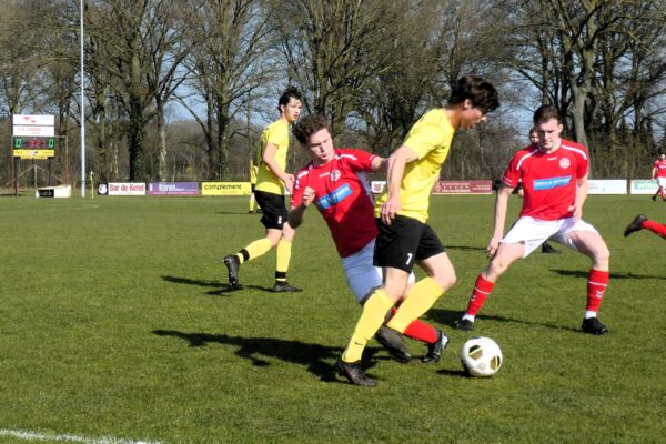 P1150584 1 P1150584 1