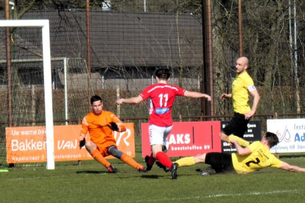 P1150595 1 P1150595 1