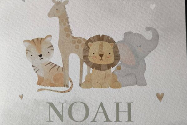 WhatsApp Image 2026-02-21 at 14.57.11