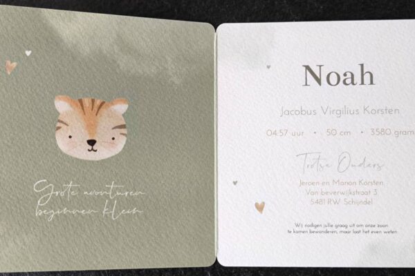 WhatsApp Image 2026-02-21 at 14.57.12